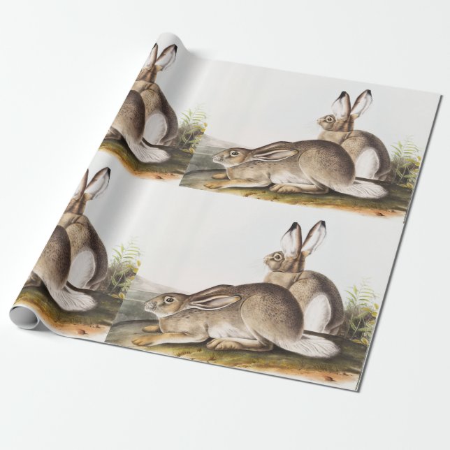 Townsend's Rocky Mountain Hare (Lepus Townsendii) Geschenkpapier (Ungerollt)