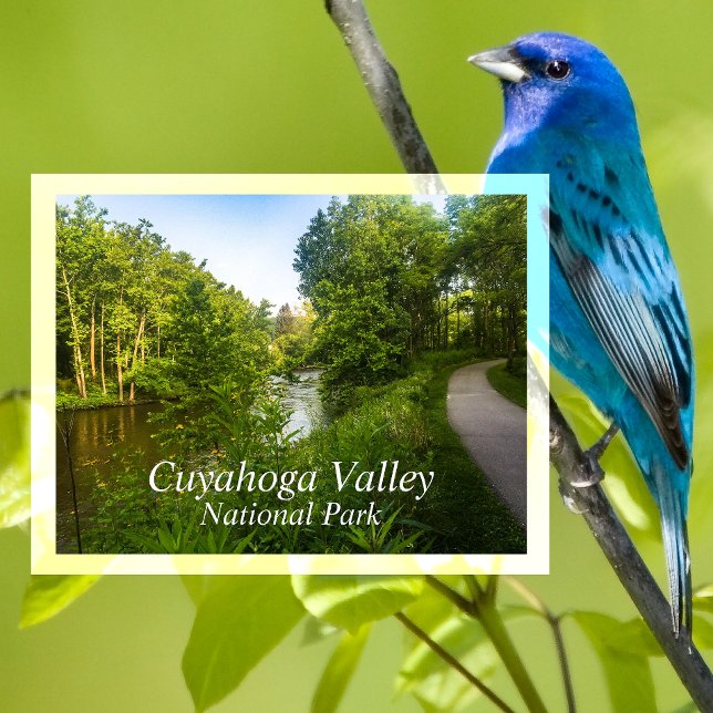 Towpath, Canalway, Cuyahoga Valley, Ohio Postkarte (Von Creator hochgeladen)