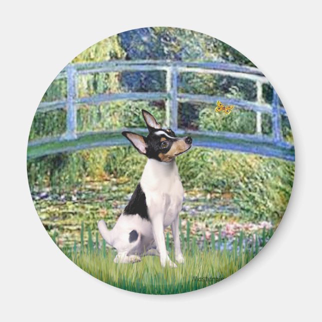 Toy Fox Terrier - Bridge Magnet (Vorne)