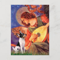 Toy Fox Terrier - Mandolin Angel
