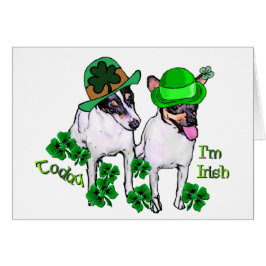 Toy Fox Terrier St Pattys