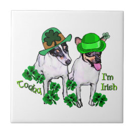 Toy Fox Terrier St Pattys Fliese