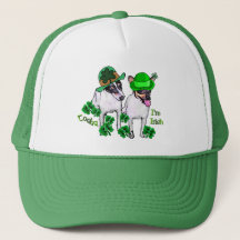 Toy Fox Terrier St Pattys