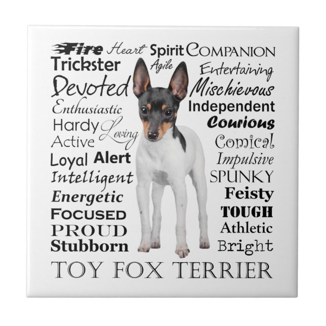 Toy Fox Terrier Tracks Tile Fliese (Vorderseite)