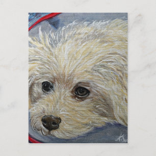 Toy Poodle Painting - Cece Postkarte