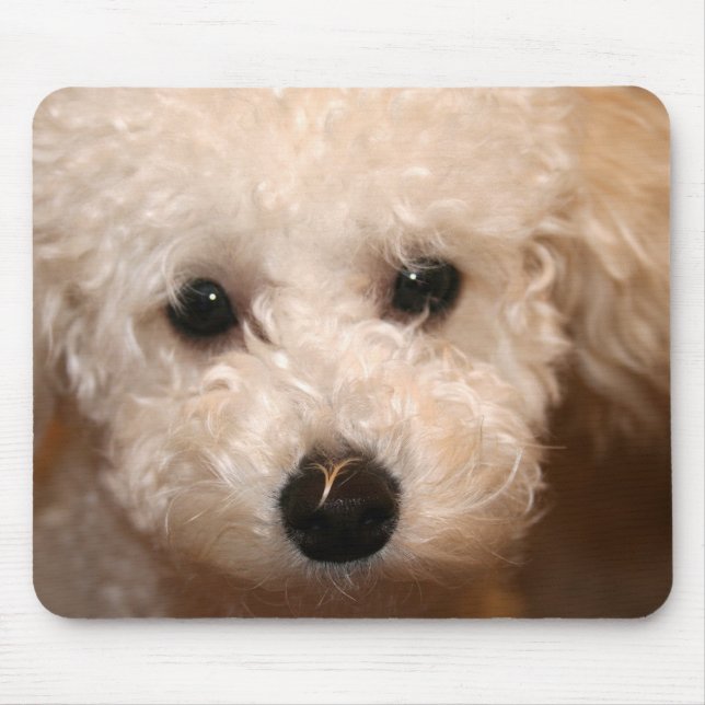 Toy Poodle Puppy Mousepad (Vorne)