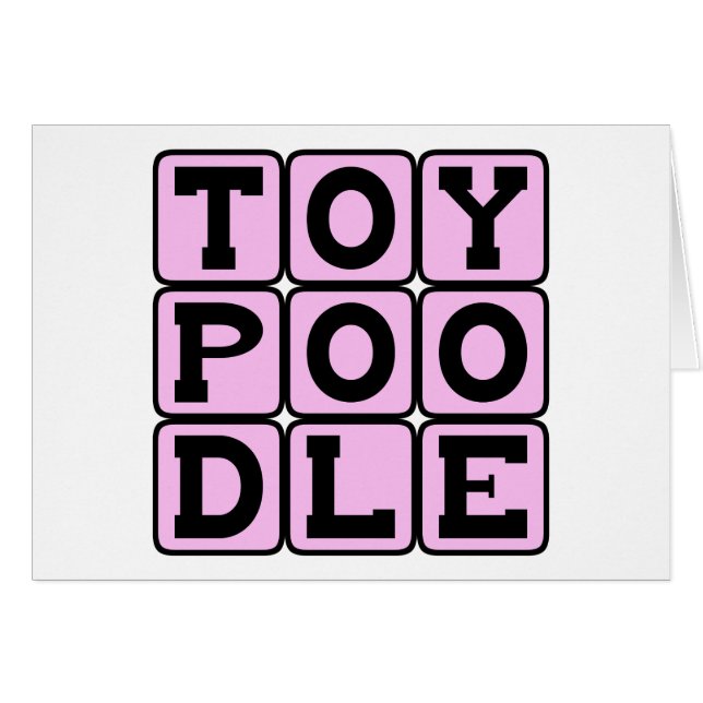 Toy Poodle, Toy Hund Rasse (Vorderseite (Horizontal))