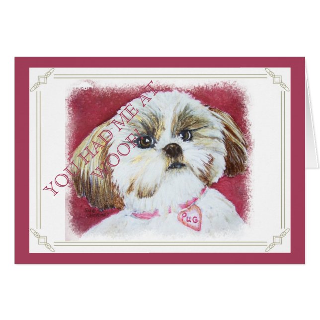 TOY SHIH TZU MIX (Vorderseite (Horizontal))