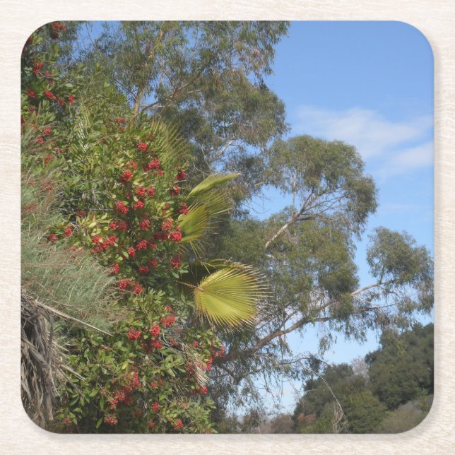 Toyons entlang des Arroyo Seco Trail Rechteckiger Pappuntersetzer (Vorderseite)