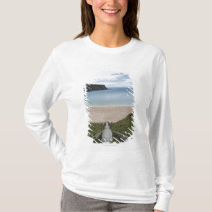 Trabane oder silberner Strang nahe Malin bitten T-Shirt
