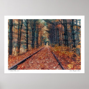Track durch ein Waldposter Poster