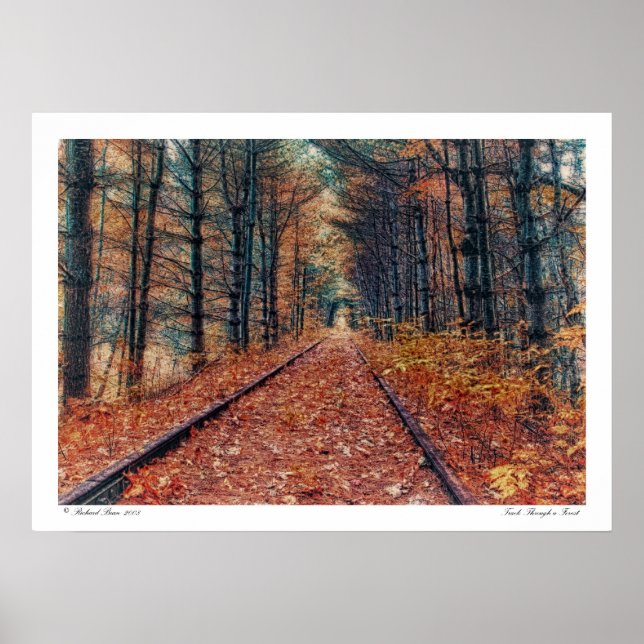 Track durch ein Waldposter Poster (Vorne)