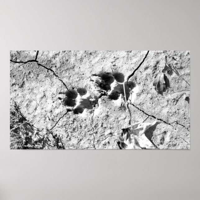 Tracks Poster (Vorne)