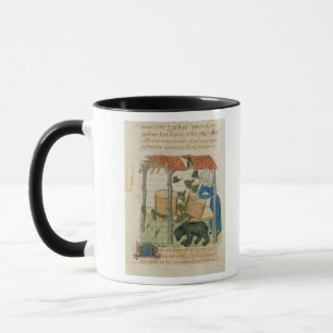 Tractatus de Herbis' Tasse