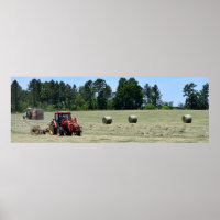 Tractors rolling bales of hay
