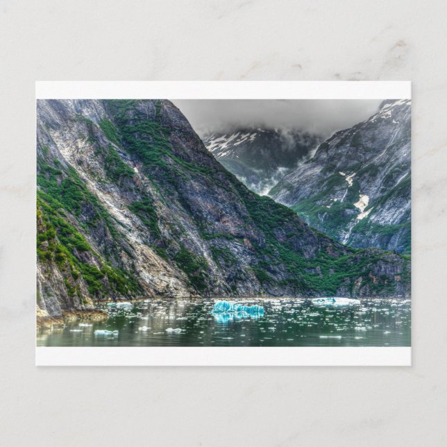 Tracy Arm Fjord in Alaska Postkarte (Vorderseite)