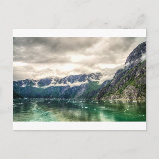 Tracy Arm Fjord in Alaska Postkarte (Vorderseite)