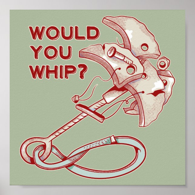 TRAD CLIMBING WHIPPER FALL POSTER (Vorne)