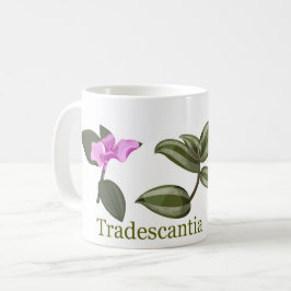 Tradescantia 2 kaffeetasse