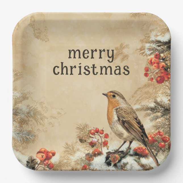 Traditional European Robin Christmas Holiday Pappteller (Vorderseite)