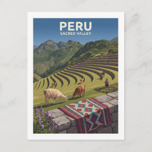 Traditionelle Andenterrassen und Lamas Pisac Peru Postkarte