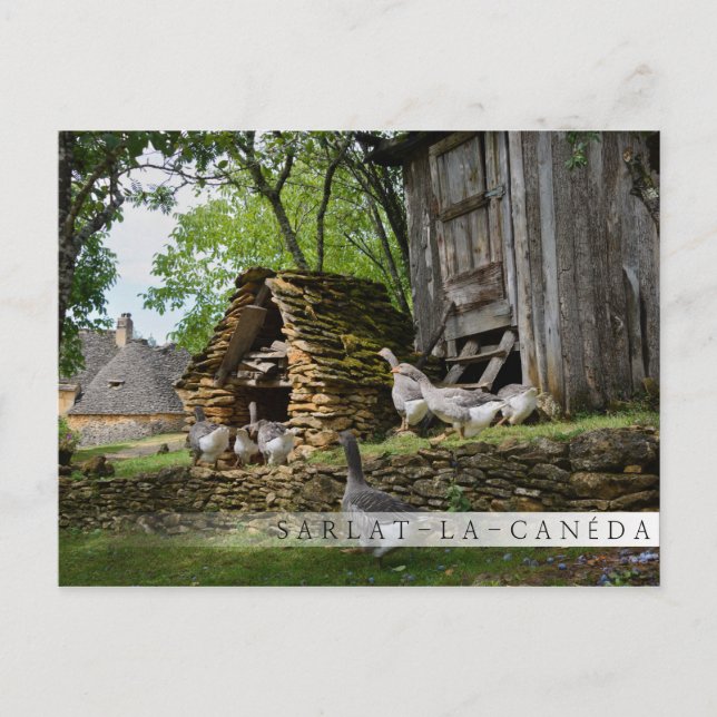 Traditionelle Foie Gras Gänse Bar Postkarte (Vorderseite)