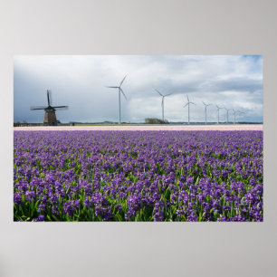 Traditionelle und moderne Windmühle in holländisch Poster