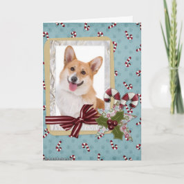 Traditionelle walisische Corgi Weihnachten