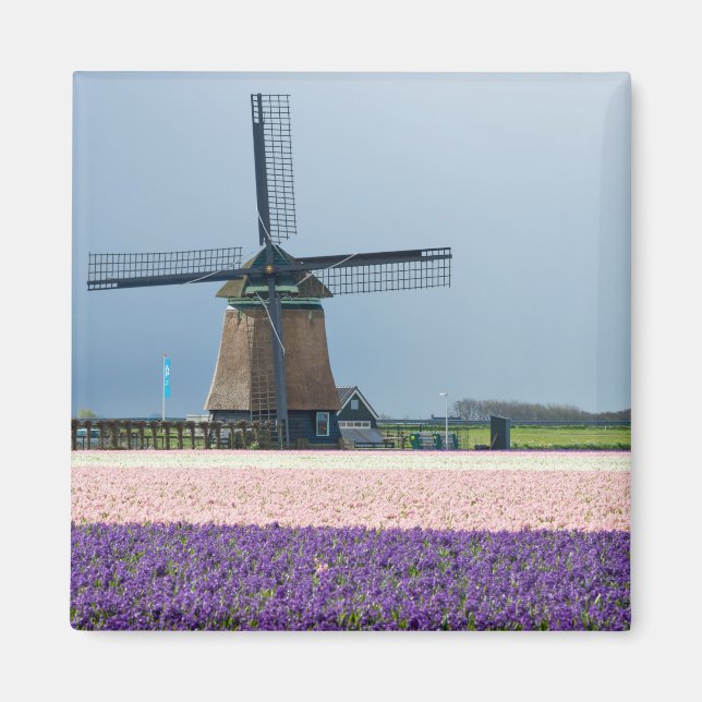 Traditionelle Windmühle mit rosa und violetten Blu Magnet (Vorne)