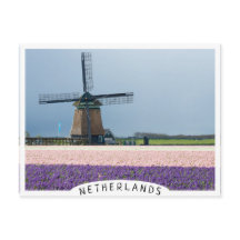 Traditionelle Windmühle mit rosa und violetten Blu