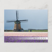 Traditionelle Windmühle mit rosa und violetten Blu