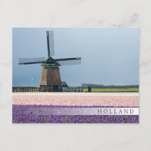 Traditionelle Windmühle mit rosa und violetten Blu Postkarte