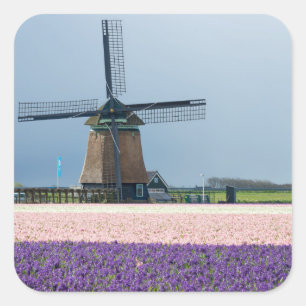 Traditionelle Windmühle mit rosa und violetten Blu Quadratischer Aufkleber