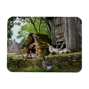 Traditioneller Foie Gras-Gänse-Rechteck-Magnet Magnet