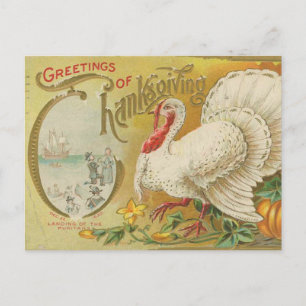 Traditioneller Truthahn zu Thanksgiving Postkarte