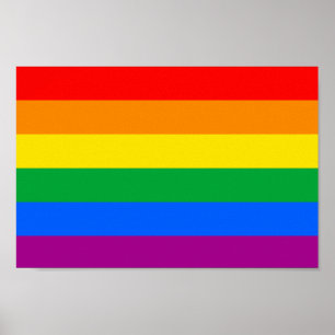 Traditionelles LGBTQIA+-Flag Poster