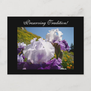 Traditionen bewahren! Postkarten Iris Blumen
