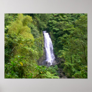 Trafalgar Falls, Dominica, Westindien, Karibik Poster