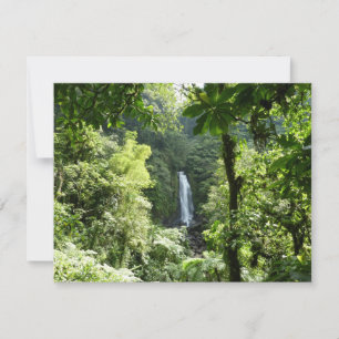 Trafalgar Falls Tropical Rainforest Fotografie