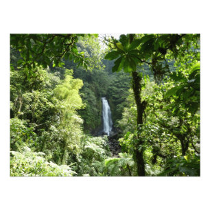 Trafalgar Falls Tropical Rainforest Fotografie