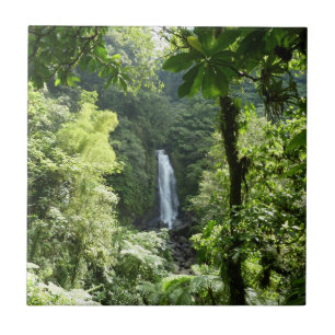 Trafalgar Falls Tropical Rainforest Fotografie Fliese
