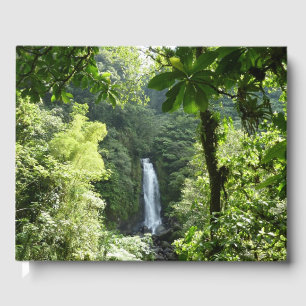 Trafalgar Falls Tropical Rainforest Fotografie Gästebuch
