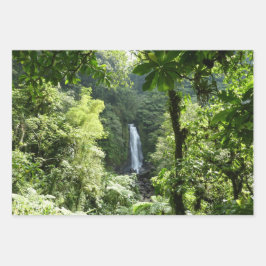 Trafalgar Falls Tropical Rainforest Fotografie Geschenkpapier Set