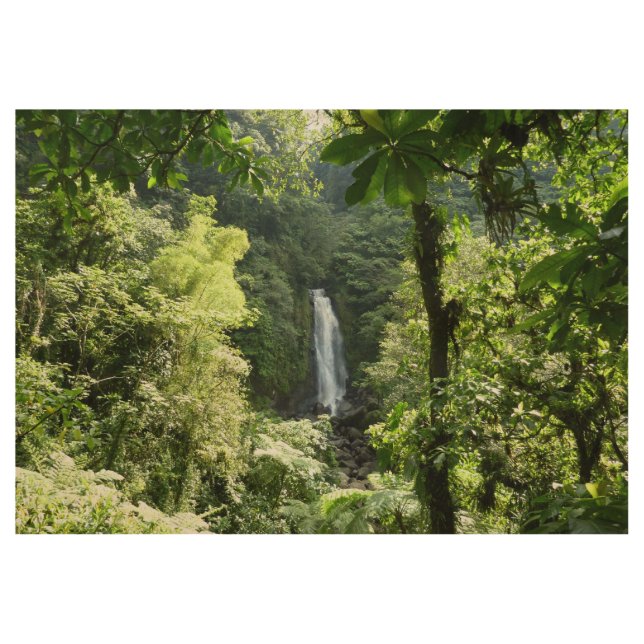 Trafalgar Falls Tropical Rainforest Fotografie Holzposter (Vorderseite)