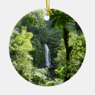 Trafalgar Falls Tropical Rainforest Fotografie Keramik Ornament