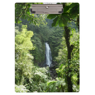 Trafalgar Falls Tropical Rainforest Fotografie Klemmbrett