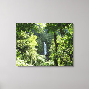 Trafalgar Falls Tropical Rainforest Fotografie Leinwanddruck