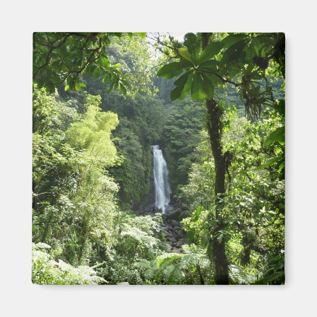 Trafalgar Falls Tropical Rainforest Fotografie Magnet (Vorne)