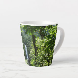Trafalgar Falls Tropical Rainforest Fotografie Milchtasse