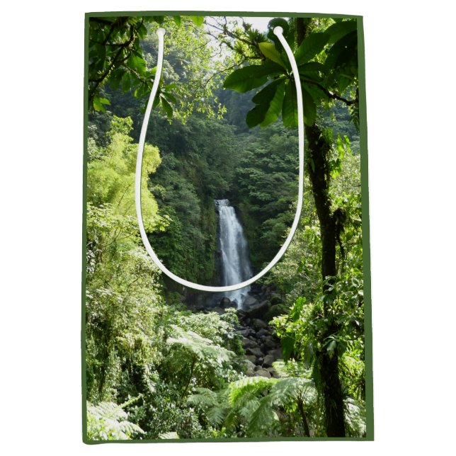 Trafalgar Falls Tropical Rainforest Fotografie Mittlere Geschenktüte (Vorderseite)